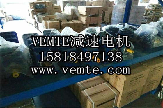 VEMTE减速机电机制造厂家 (4)