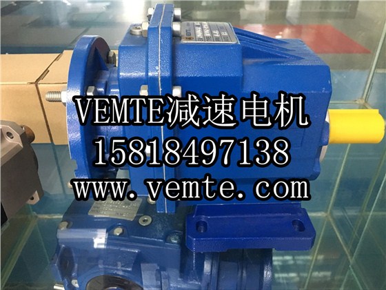 德国VEMTE减速器电机生产厂家 (8)